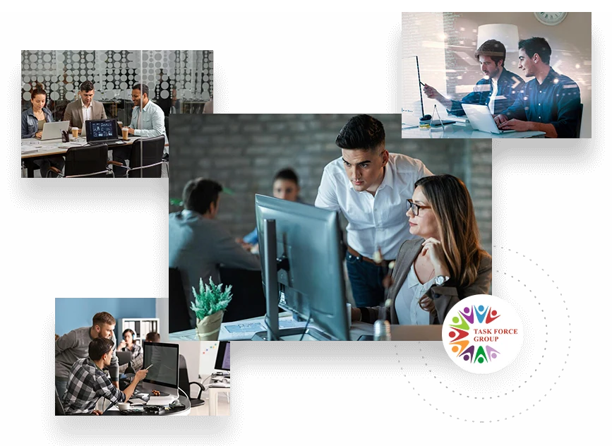 task force people Software Developers